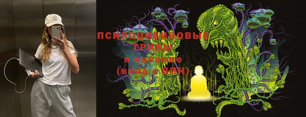 спайс Алексин
